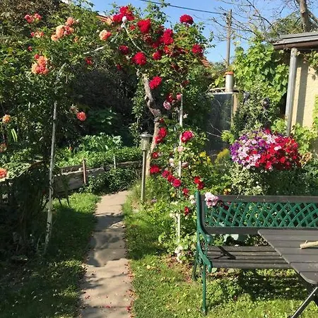 Unser Studio-Apartment 