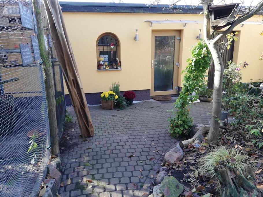 Unser Studio-apartment 