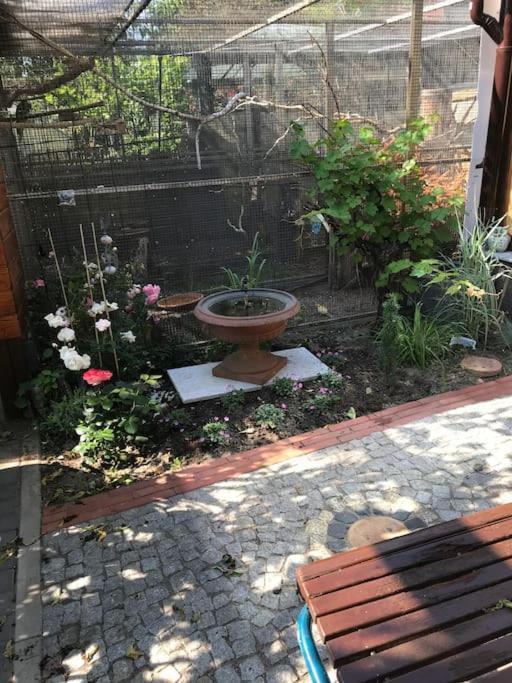 Unser Studio-apartment 